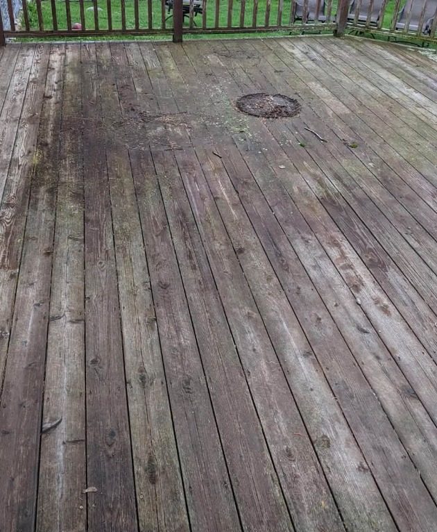 Weathered deck boards covered in green algae and grey oxidation
